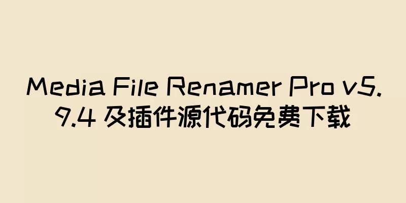 Media File Renamer Pro v5.9.4 及插件源代码免费下载